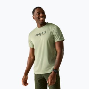 Herren-Trekkingshirt REGATTA Fingal light sage