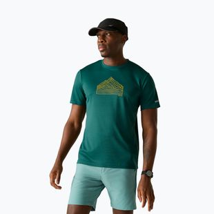 Herren-Trekkingshirt REGATTA Fingal mediterranea