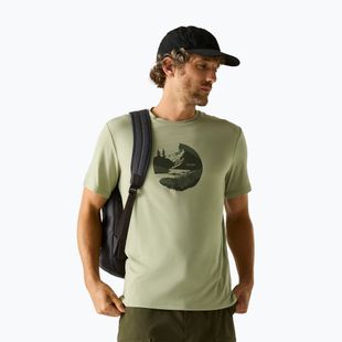 Trekkingshirt Herren REGATTA Fingal Stretch light sage