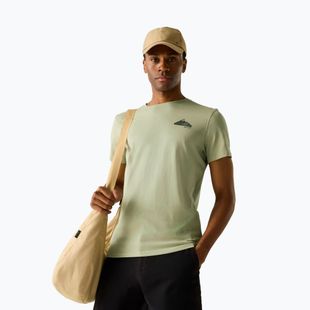 Herren-Trekkingshirt REGATTA Breezed light sage
