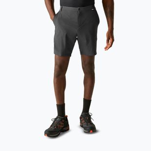 Herren-Trekkingshorts REGATTA Anti Insect Travel Light ash