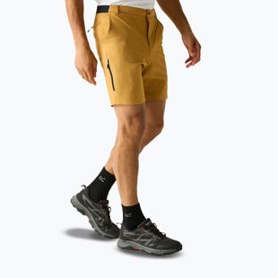 Herren-Trekkingshorts REGATTA Anti Insect Travel Light wood brown