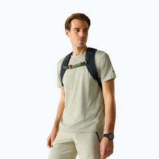 Trekkingshirt Herren REGATTA Fingal Edition light sage