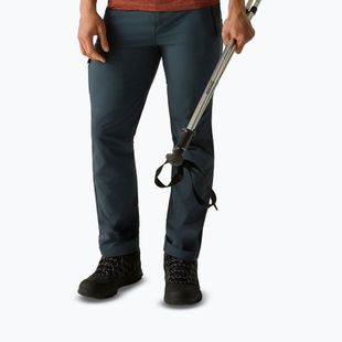 Herren-Trekkinghose REGATTA Highton II night sky