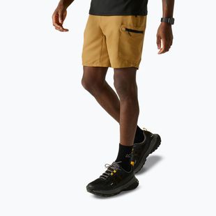 Herren-Trekkingshorts REGATTA Leesville III wood brown