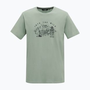 Herren-Shirt Regatta ClineIX glacier wild scene