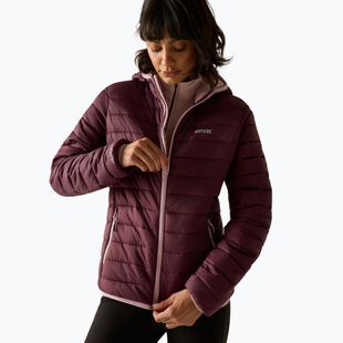 Damen-Daunenjacke Regatta Hooded Marizion fig