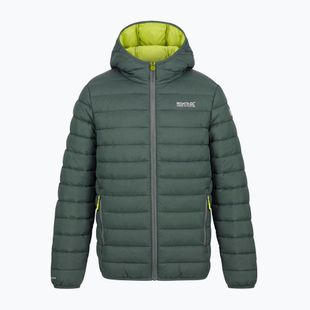 Gefütterte Kinderjacke REGATTA Lofthouse dark forest green/wild lime