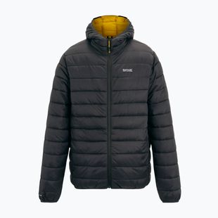 Herren-Daunenjacke Regatta Hooded Marizion ash/sunset