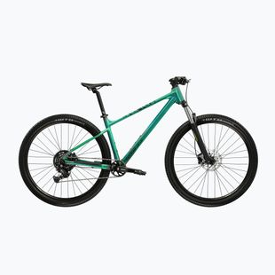 Mountainbike KROSS Level X100 green/black/matte