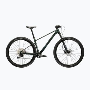 Mountainbike KROSS Level RS 1.0 green/chameleon/gloss