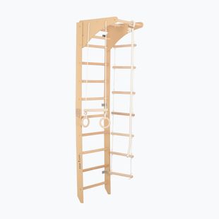 RINAGYM Gymnastikleiter SPR C