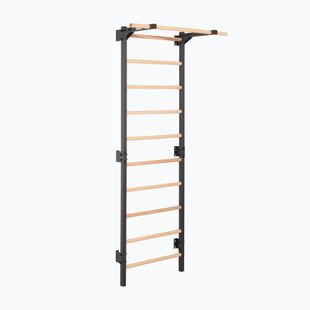 Turnleiter RINAGYM Steel Pure graphit