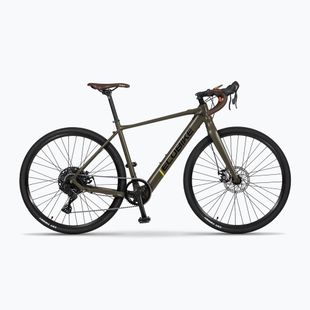 EcoBike Forest/9.7Ah grünes Elektrofahrrad 1010502