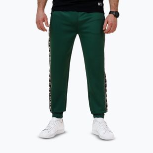 Hose Herren Pitbull Track Pants Powers bottle green