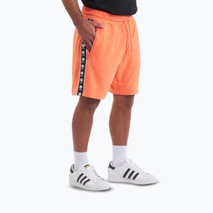 Shorts Herren Pitbull Tape Nugget bright salmon