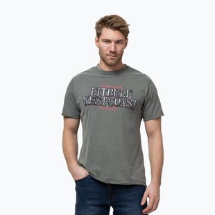 Pitbull Ace Of Spades Herren-T-Shirt gedämpft grün