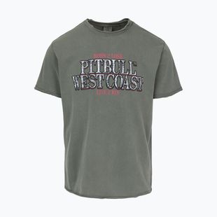 Pitbull Ace Of Spades Herren-T-Shirt gedämpft grün