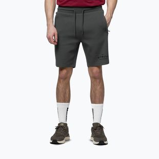 Herren-Shorts Pitbull Sampson grey/green
