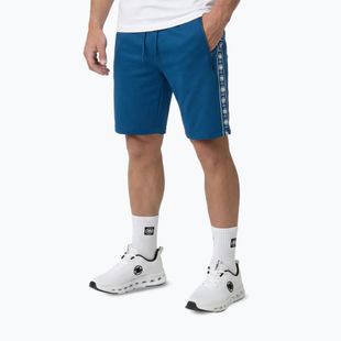 Herren-Shorts Pitbull Track Powers azure blue