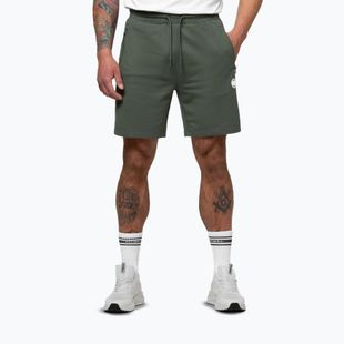 Herren-Shorts Pitbull Nugget Small Logo sage green