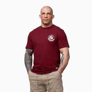 Herren-Shirt Pitbull Dog SD burgundy