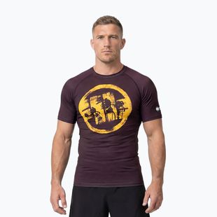 Herren-Shirt Pitbull Rashguard Logo Palms brown