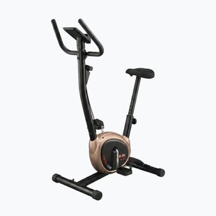 Heimtrainer Body Sculpture Bc 1430Gd black