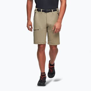 Herren-Trekking-Shorts Alpinus Terminio oliv