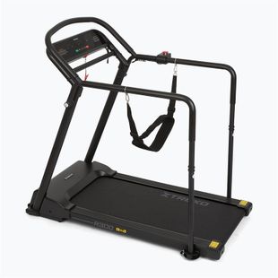 Elektrisches Laufband XTREXO R300 black