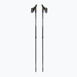 Fizan Smu Active schwarz Nordic Walking Stöcke