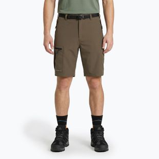 Herren-Shorts KADVA Seto brown