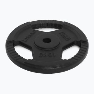 Gusseisen Gewicht XTREXO TRX-ICP010 10 kg Chrom