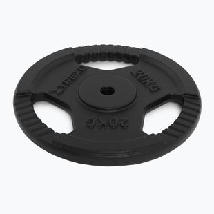 XTREXO Gusseisen Gewicht TRX-ICP020 20 kg Chrom