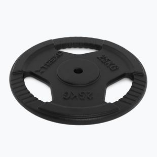 XTREXO Gusseisen Gewicht TRX-ICP025 25 kg Chrom