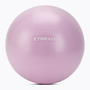 Mini Gymnastikball XTREXO TXO-B4Z011-VT 25 cm Lila
