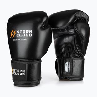 Boxhandschuhe StormCloud Muay Thai Blizzard 2.0 black/white