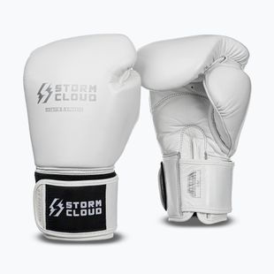 Boxhandschuhe StormCloud Muay Thai Blizzard 2.0 white/silver