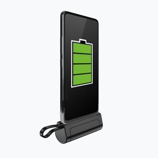 PowerNeed EP50 5000mAh schwarz