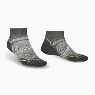 Herren-Trekkingsocken Bridgedale Hike Ultralight Coolmax® Performance Low graphite