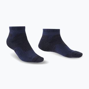 Herren-Trekkingsocken Bridgedale Hike Midweight Performance Ankle navy