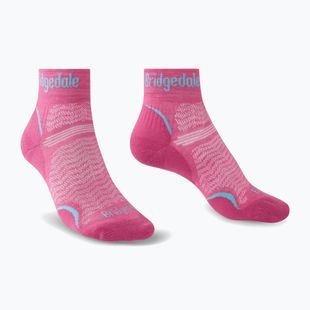 Damen-Trekkingsocken Bridgedale Hike Ultralight Performance Ankle pink