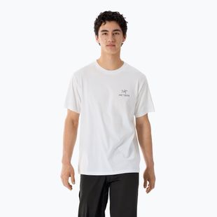 Herren-Shirt Arcteryx Kragg Sl Cotton Bird Word white light/black