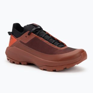 Herren Arc'teryx Vertex Alpine dynasty / sequoia Approach-Schuhe