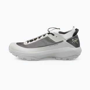 Herren Approach-Schuhe Arc'teryx Vertex Alpine solitude/dk solitude