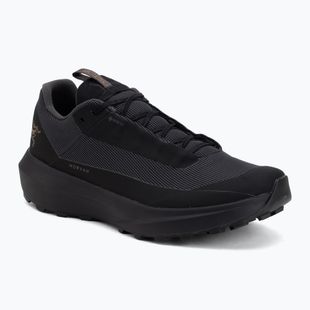 Herren-Laufschuhe Arcteryx Norvan LD 4 GTX black/black
