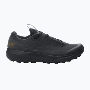 Herren-Laufschuhe Arcteryx Norvan LD 4 GTX black/black