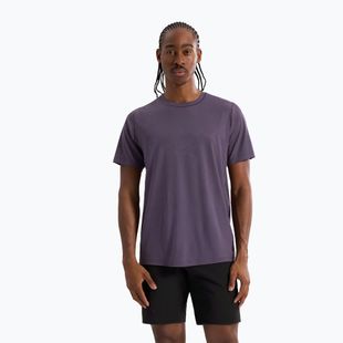 Herren-Shirt Arcteryx Cormac Logo moondrop