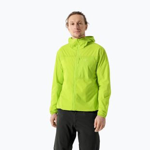 Herren-Windjacke  Arcteryx Squamish Hoody mantis