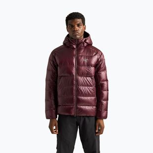 Gefütterte Herrenjacke Arcteryx Cerium SV Hoody ultima